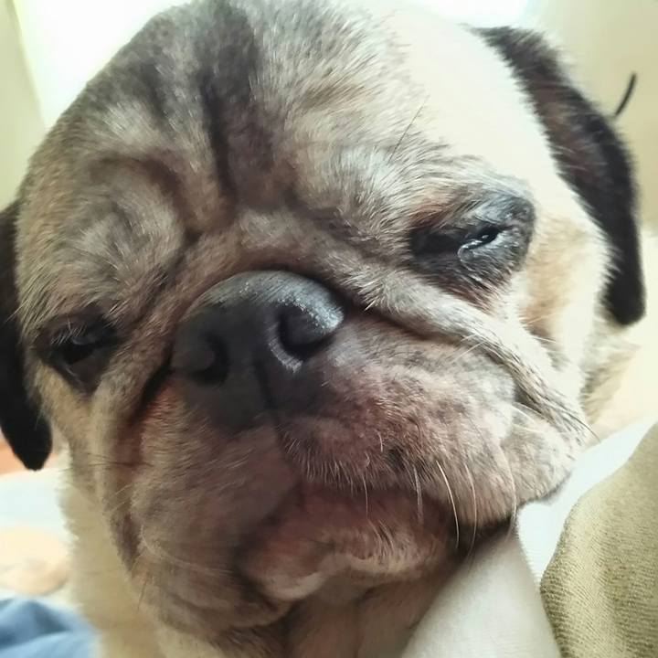 D48405ad e787 403f 81ee d956cf702435