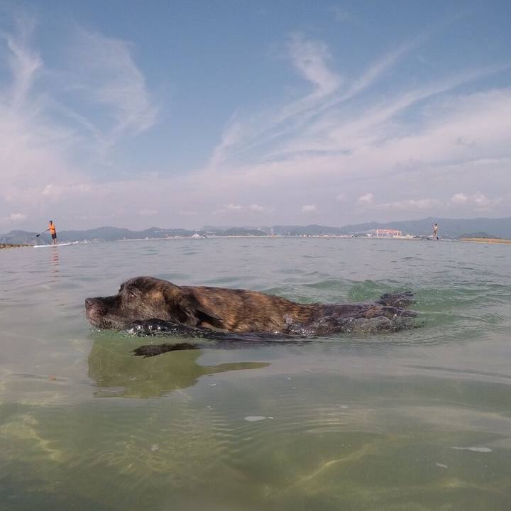 D484721d 7fbb 452f ac56 7c021e49f61c