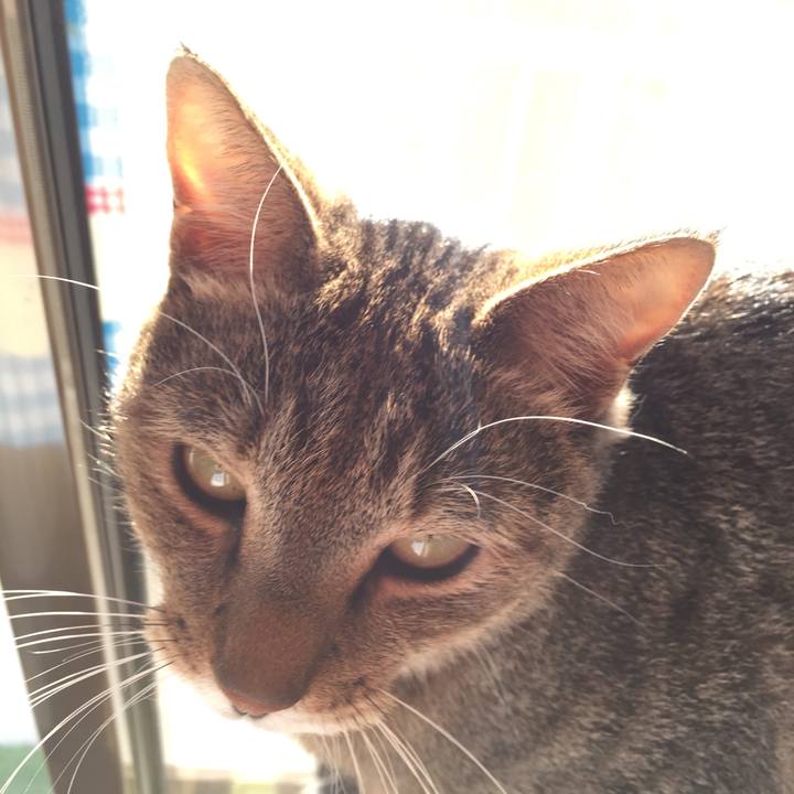 D484ff10 df57 4ad2 b0dc 5fc18c4ac3e9