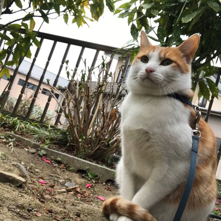 D4860990 4e11 4770 ab1f 9ce500697e3c