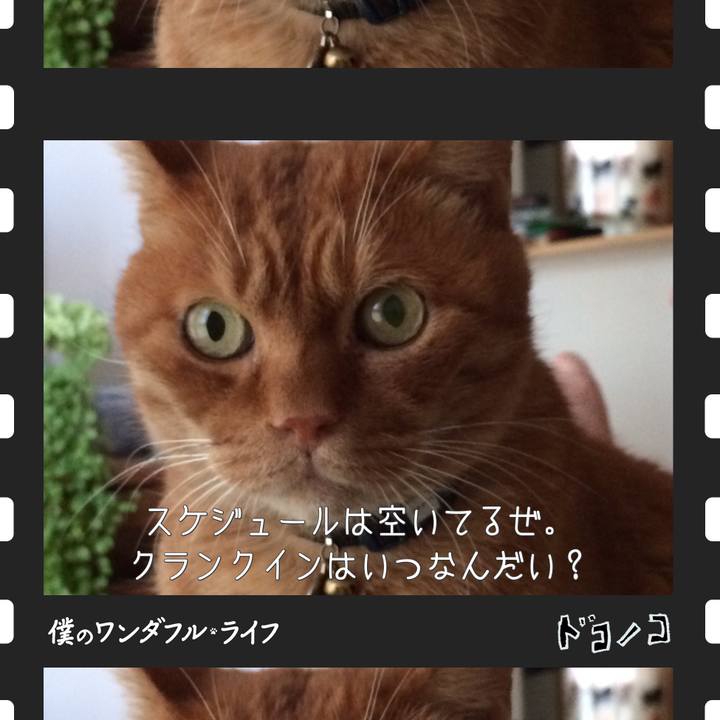 D4860ac0 18cc 483b bd18 7a87ae1161be