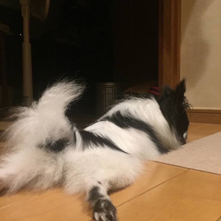 D486646d cfae 46d0 b935 5d38fd808cac