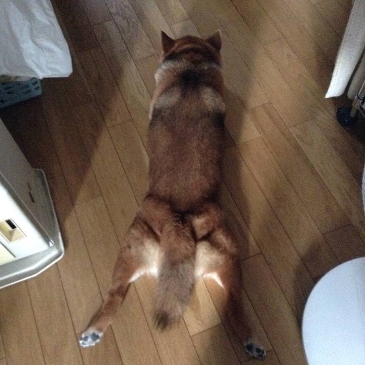 D486a0b0 a4ed 4f19 bf50 5cbffeb14e5f