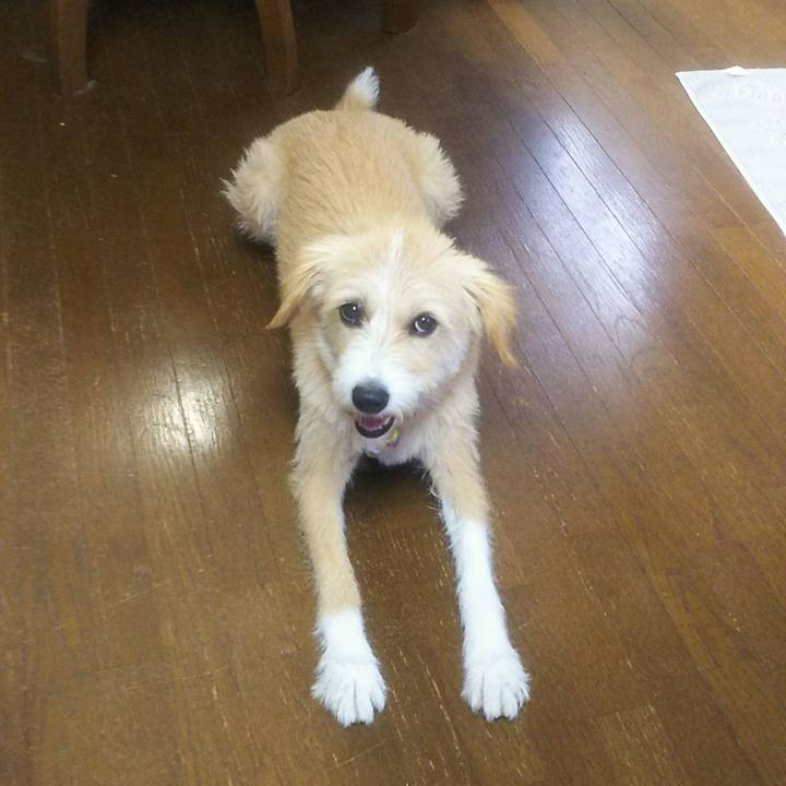 D48712e6 0519 4d8a 9137 850e14b819e8