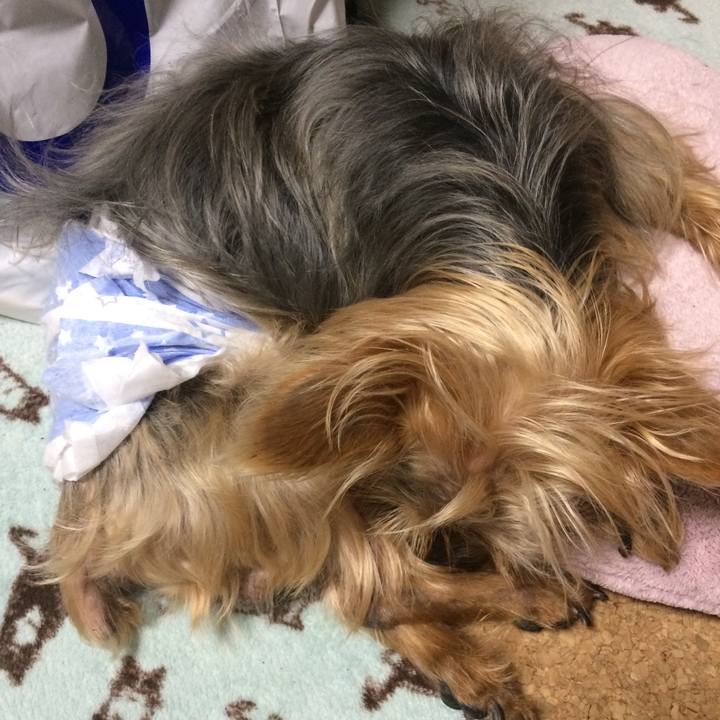 D4875ccb b772 45b3 882d 6898a70ba574