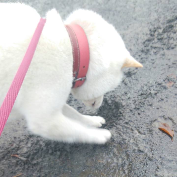 D487648c eddb 4b1d 8f95 caaccc0c6819