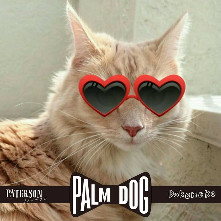 D4879f43 619f 4243 a08c 2205d90a832c