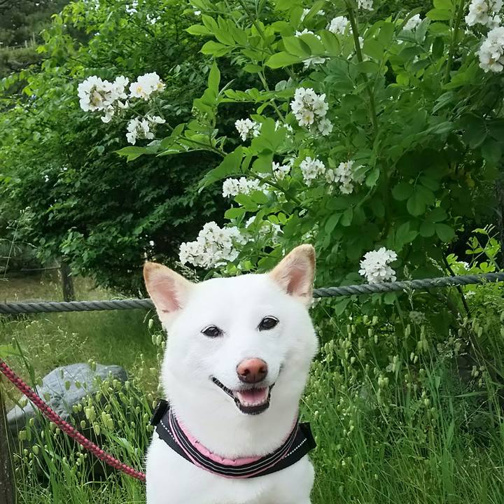 D489a98a ac5a 4cf3 aef6 b4d41b6f6f4e