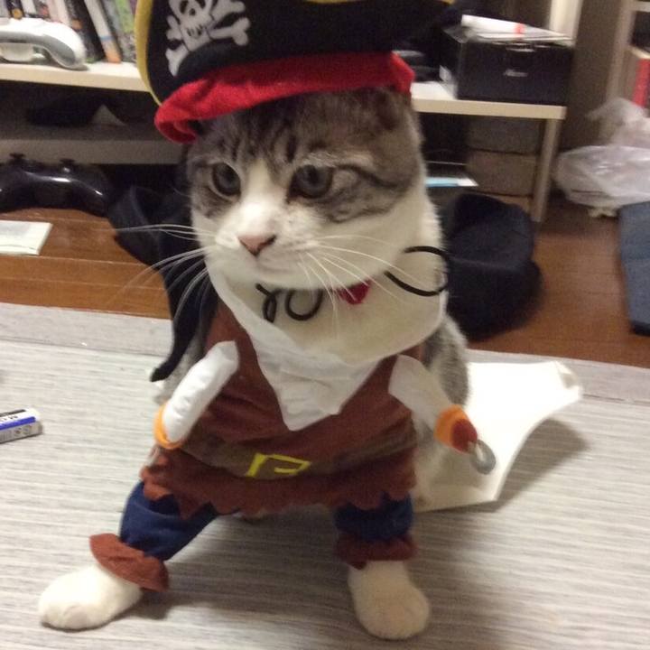 D48a30f6 d0dc 4517 b74b 38806b5a3bb3