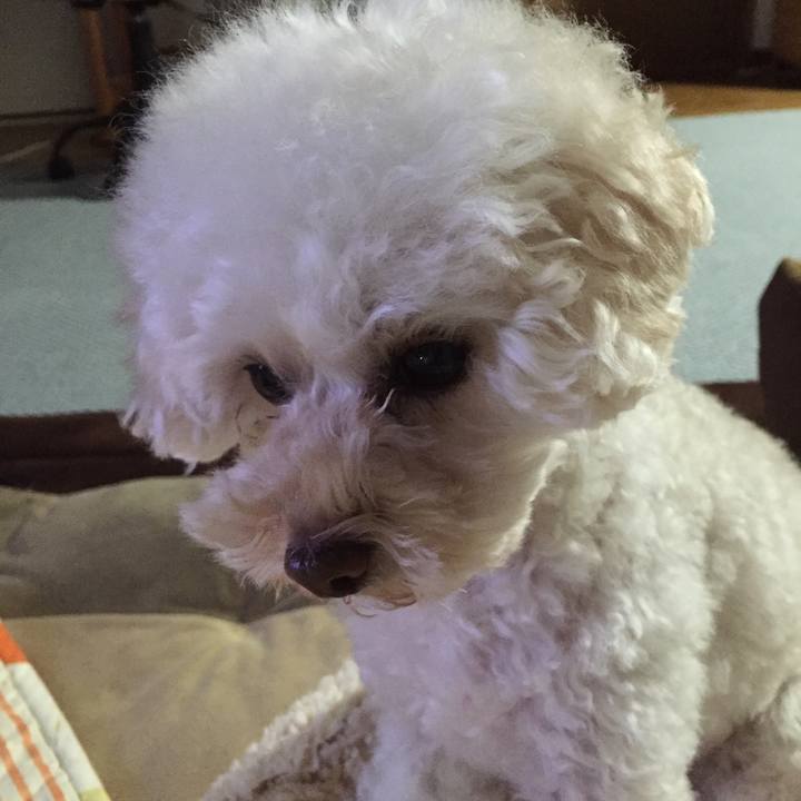 D48a4b2e ccfb 4ec5 b25e 9e38d3f3f57c