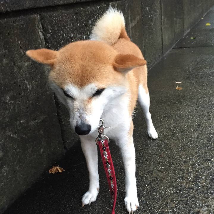 D48a692f 273a 4b91 8fbe df6272391a6e