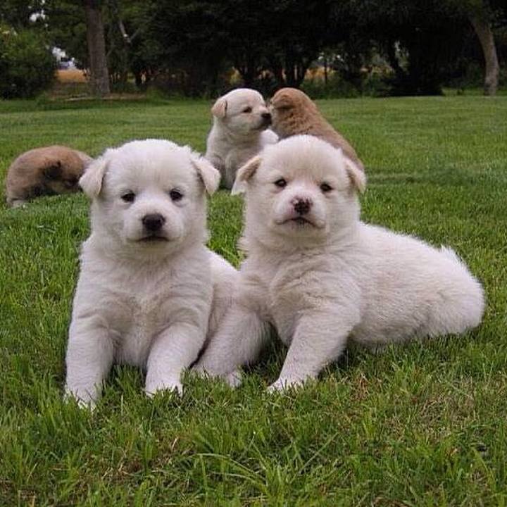 D48a97ff fd4c 4197 beb4 ed3e016b46ae