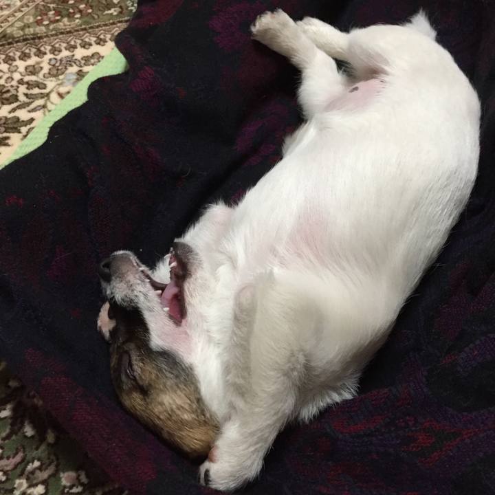 D48ac10b 8acb 4fd6 999d 60f625e88256