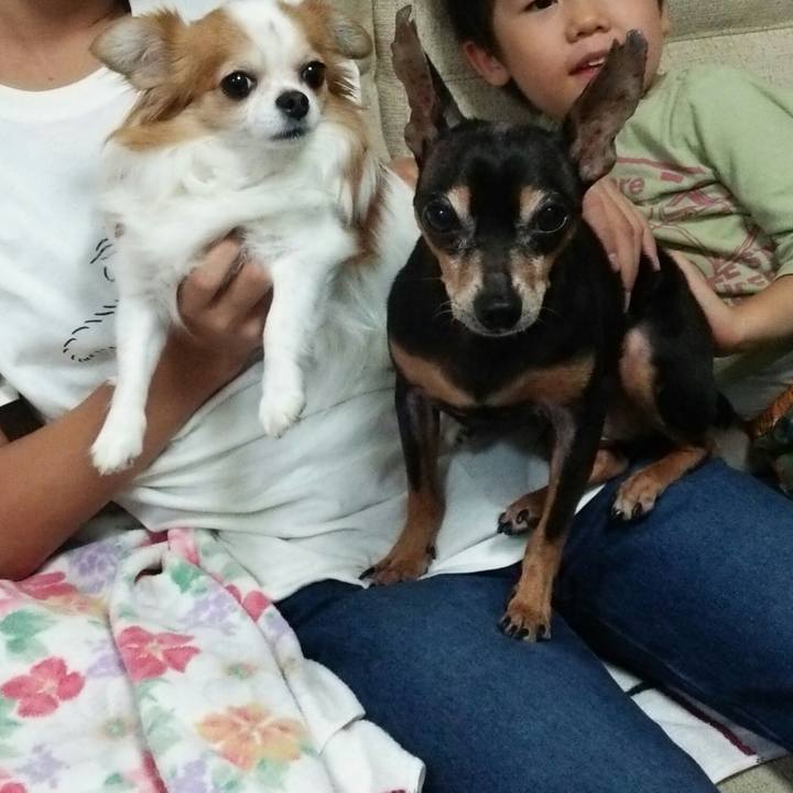 D48b188f 94ec 49dc bc08 44e1bd2d3d7b