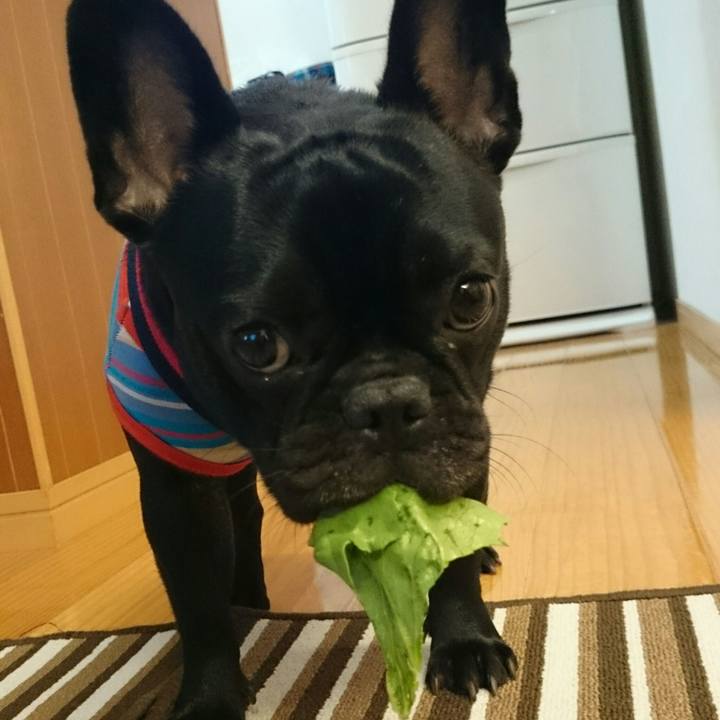 D48c1477 dca4 4423 8b65 6a8c8e775a02