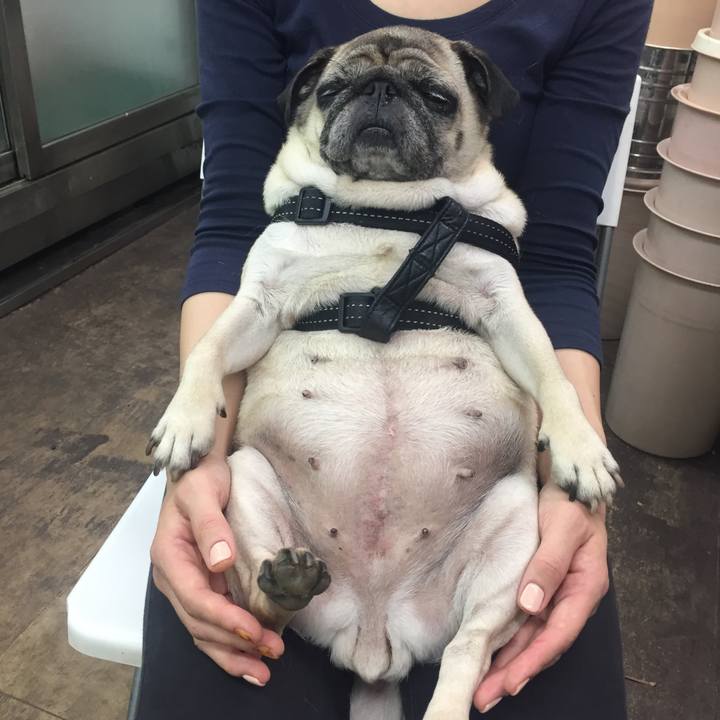 D48c81cf 4215 4a95 b626 6a9baf8ffaea