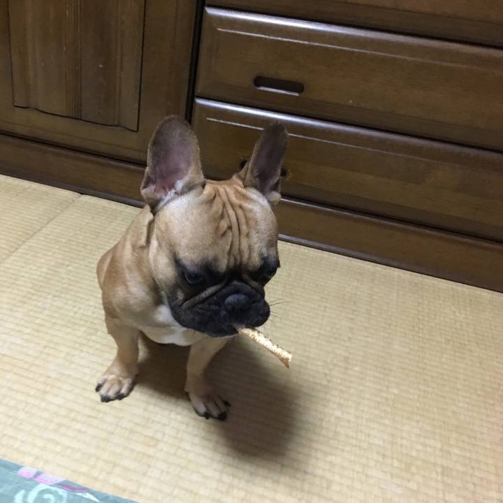 D48caac1 8817 4951 ad0f 6353024b20b4