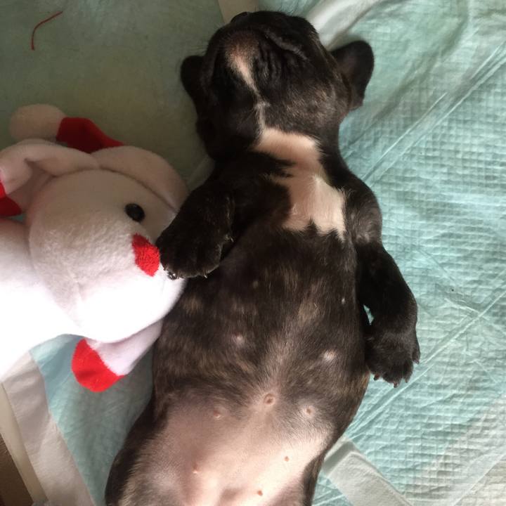 D48cb1e1 82f5 4be1 8832 1b9d532ad996