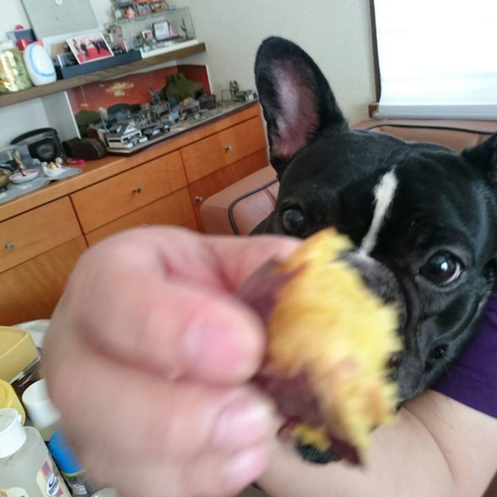 D48d12ad 7048 42ef bf92 13c0b7b6c1a3