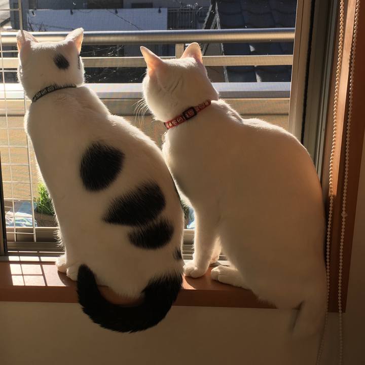 D48d30dd ff26 41a8 a70c 7bd987f2d12c