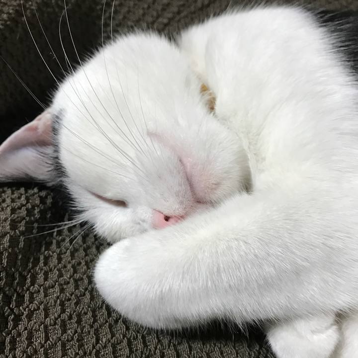 D48da07f 855e 4f33 9821 e4d1ebe5e684