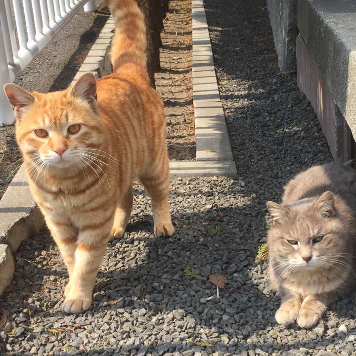 D48e2510 d21a 4e9d b5df cb88da22cb7c