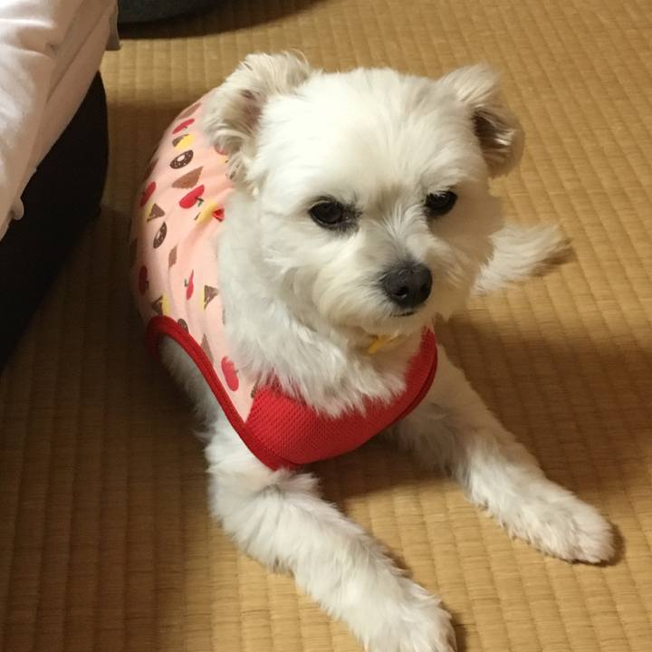 D48e9617 6c5d 4452 be20 2318dc013263