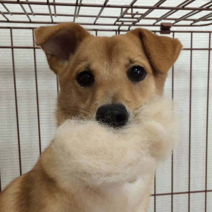 D48ea2de 4ff3 4e9c a554 7fce4fdb9f19