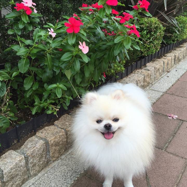 D48ee091 ef7c 454e ba02 8d88f794d924