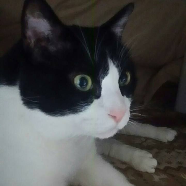 D48eef17 214a 4a5e 93d1 e7c76ddb657e