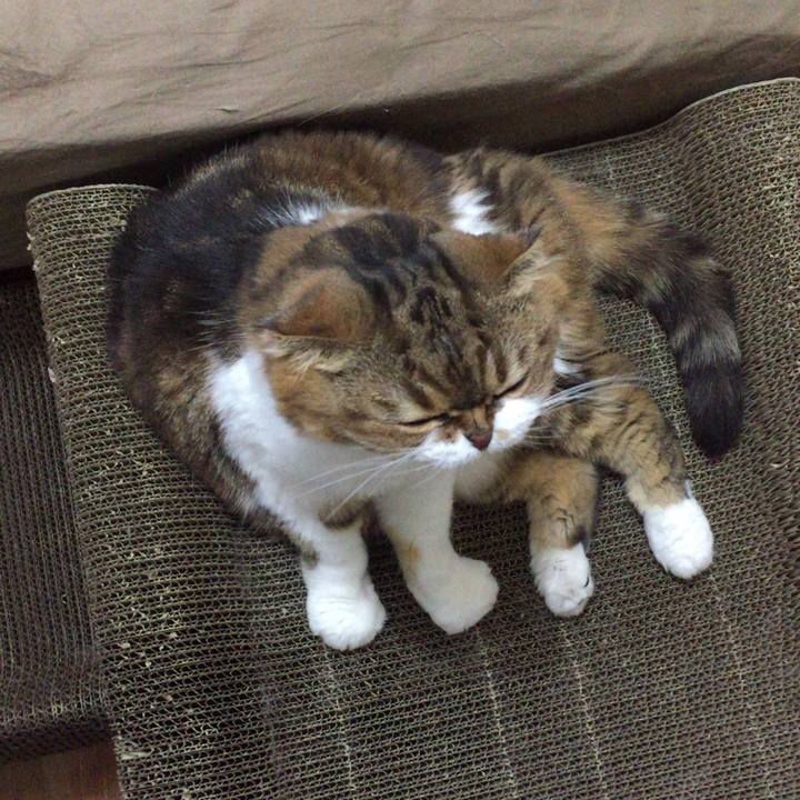 D48f2c2b 72ce 425b 8879 3a9386142fc5