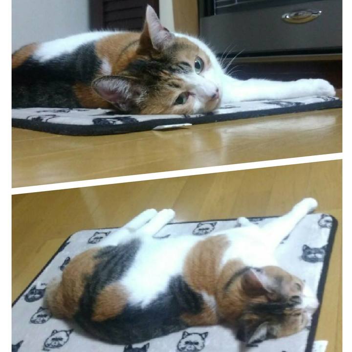 D48f5181 15eb 48bc 8e3a 50d53112ddc6