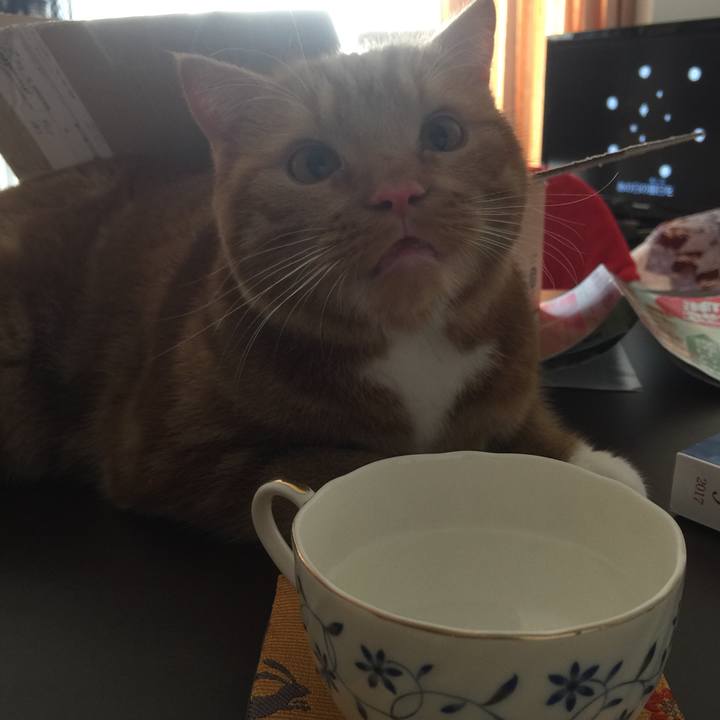 D48f6be1 291a 4b9a 8746 4c9e7be17179