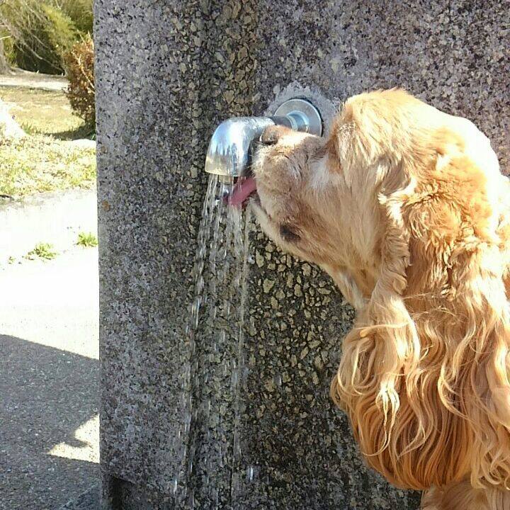 D48ffbe9 a729 4068 84c0 de2d8b0fabe5