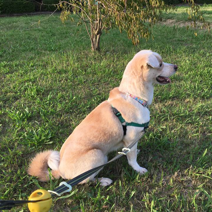 D4900172 77aa 418f b055 832c80938214