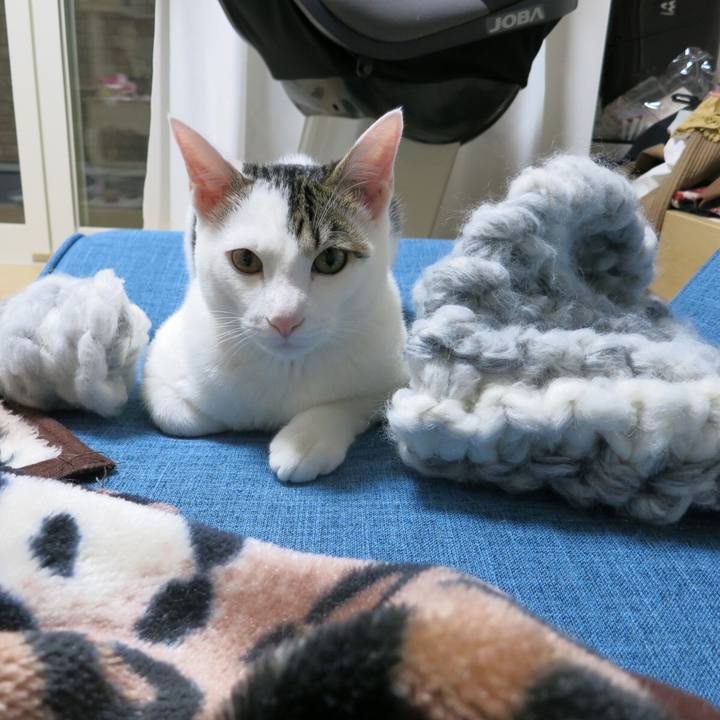 D4907122 f6eb 4324 9415 b65deafd1a6b