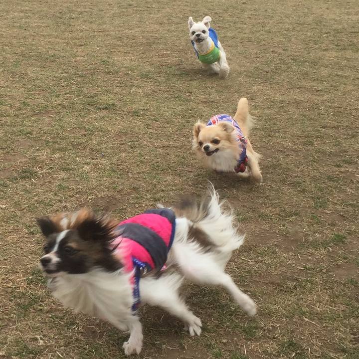 D4908a47 579b 4899 b235 ab80744de7c6