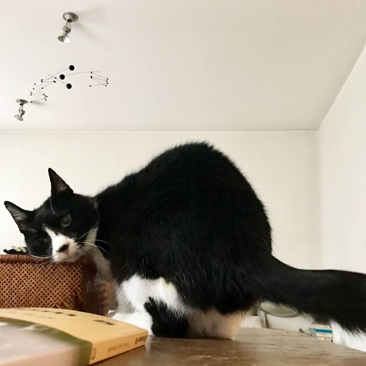 D4908aae 1c08 4b3c 9a28 59b73729e816