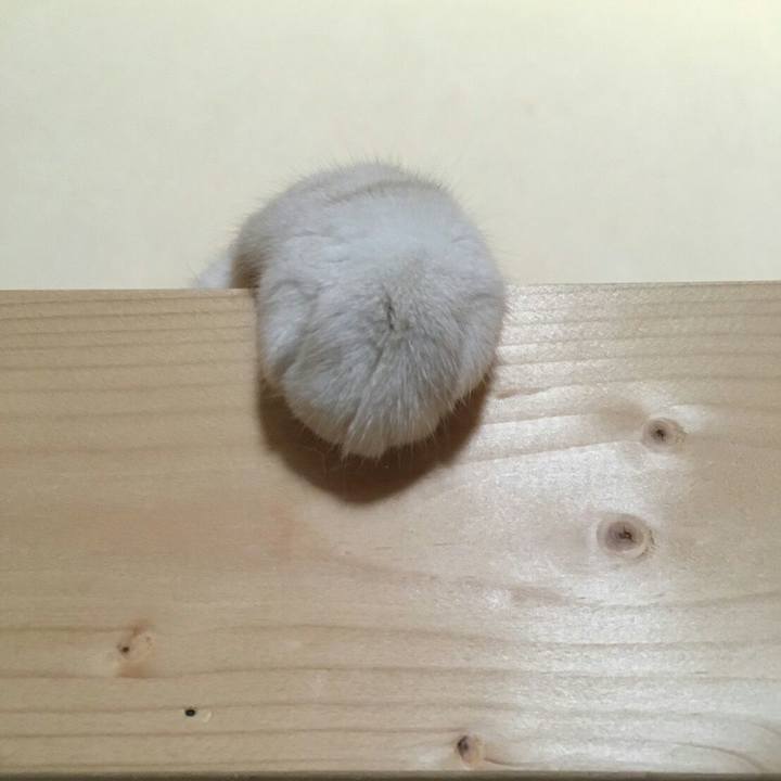 D4910168 9127 4315 b019 fe37276cc99a