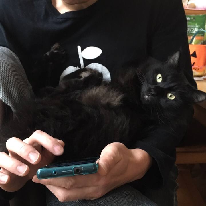 D491450a 48f0 4069 b74b 9fdce77c1405