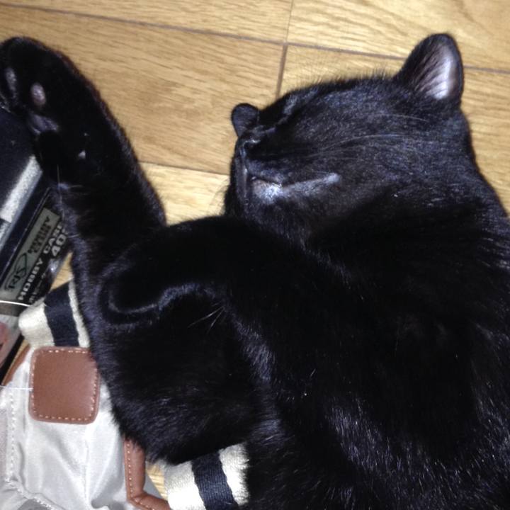 D491c954 56f2 4303 9878 826288fd5ebc