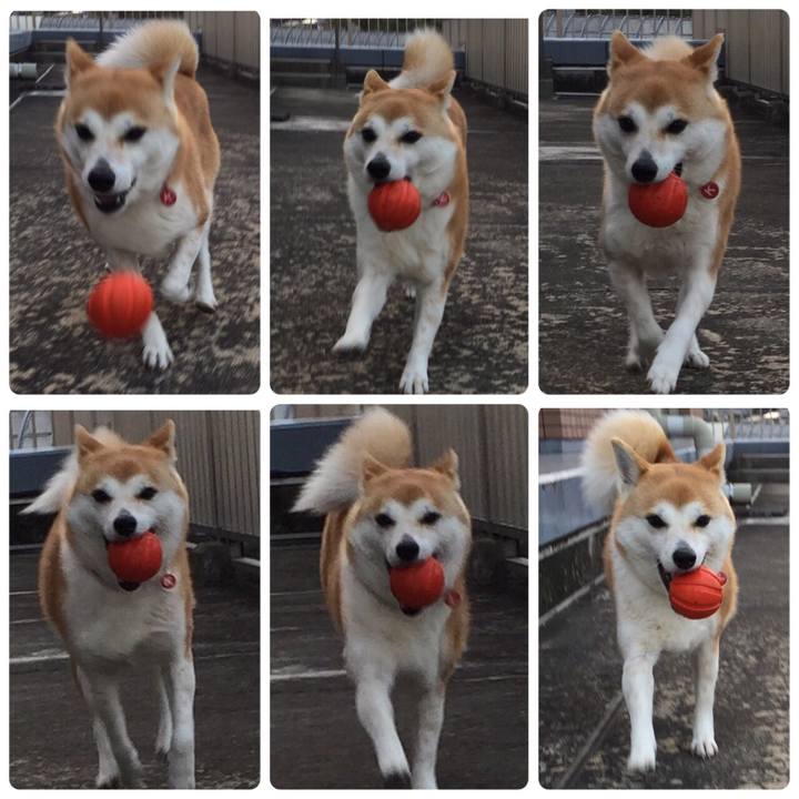 D49206ad 9a92 487b a1e8 be1552663b9b