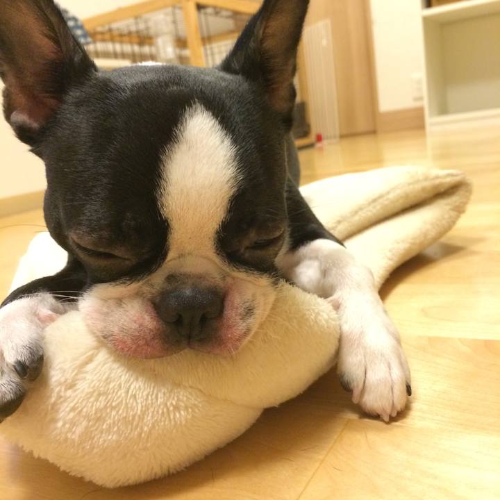 D492c537 a6ca 483e 86df 172d20c6dece