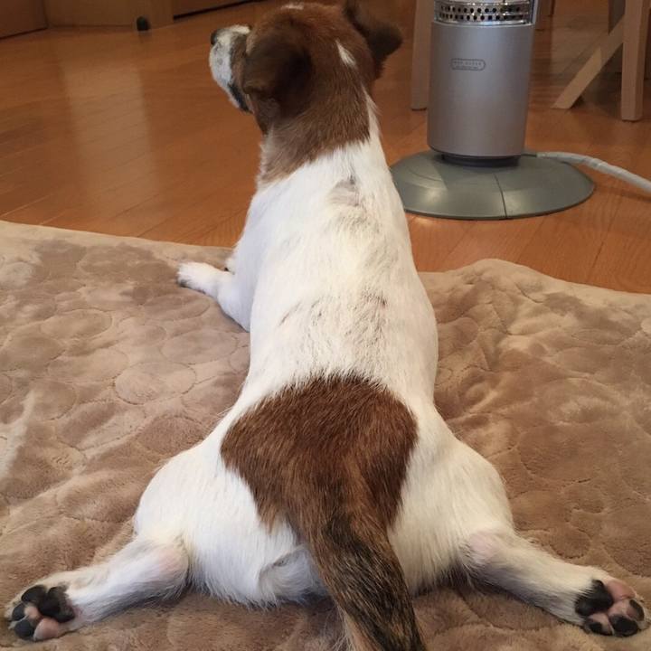 D4941b7f 7911 4df0 ac46 2175a15712eb