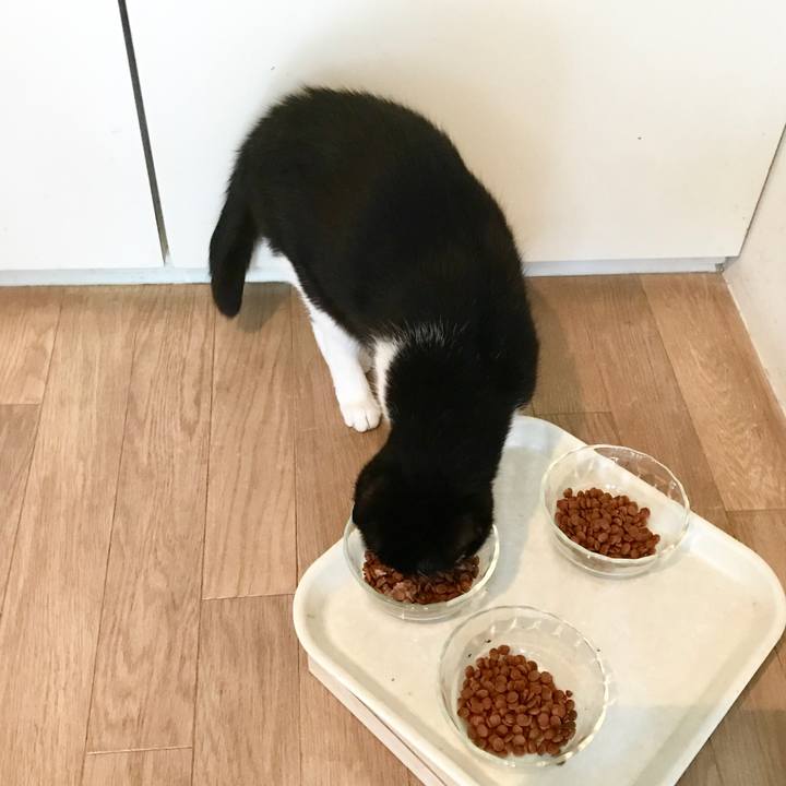 D4954cba 3143 44d7 90c7 b7711bfa3484