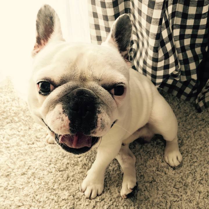 D4959276 bb8f 4ee0 9a08 b17a90f3c78c