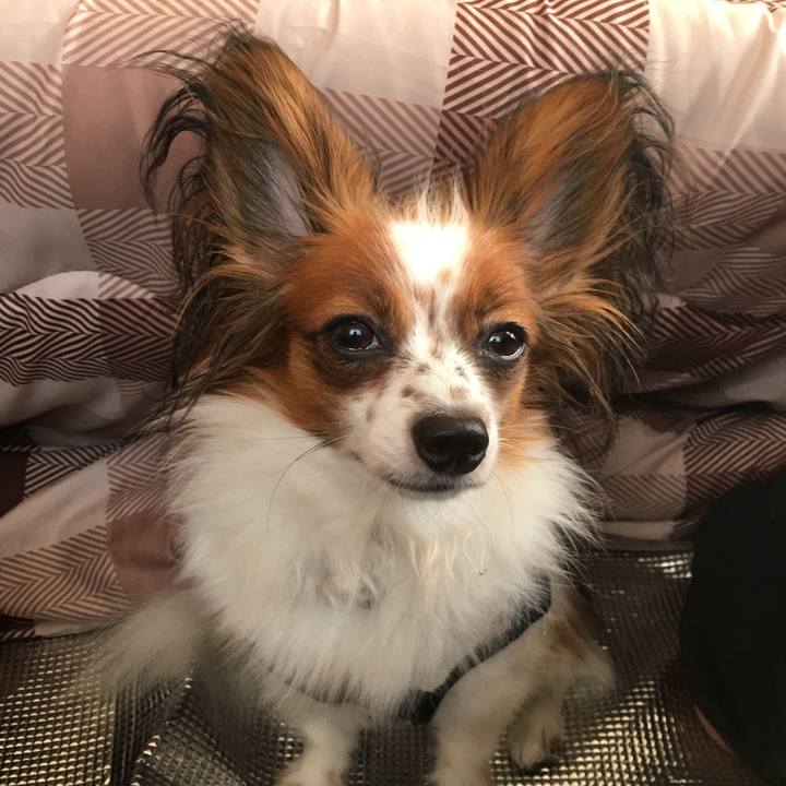 D495c6f8 dd75 46d3 b3d6 1622ad66cb5b