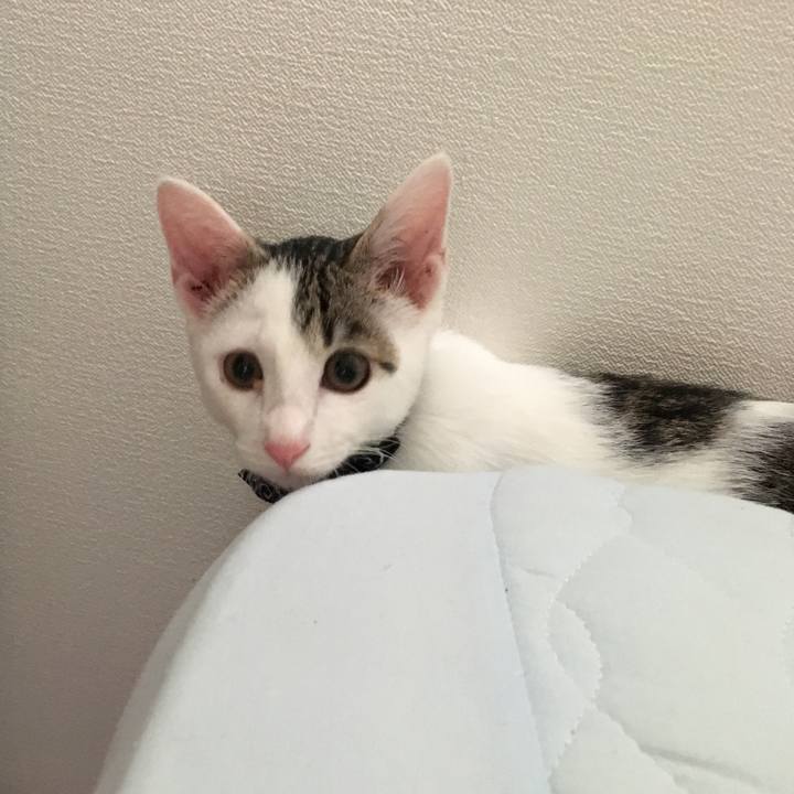 D4960ee2 10b0 4ee7 be3a b118758439e6