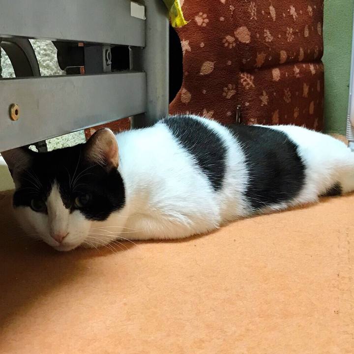 D496127b a0b8 4ac5 add0 188d36fb219d