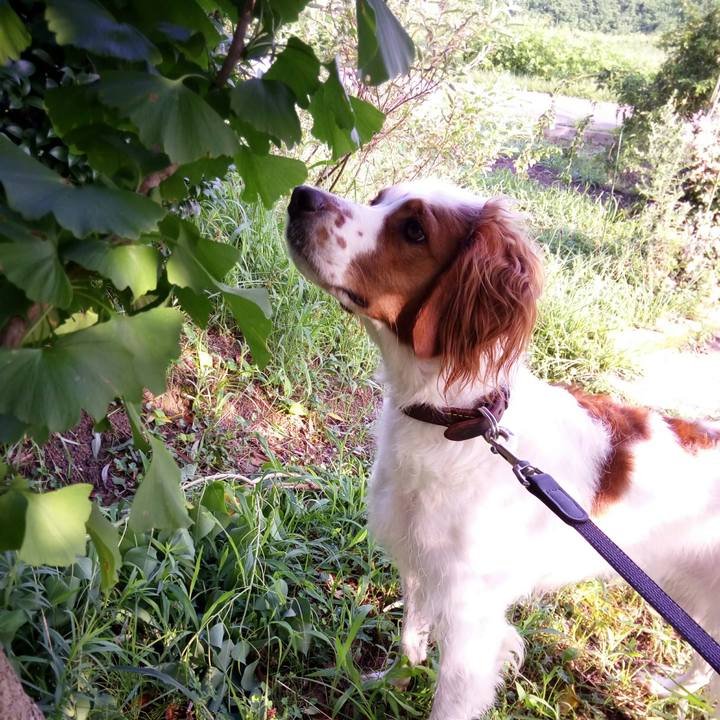 D4972c88 ddee 46c3 b15e c2dce7cd91f1